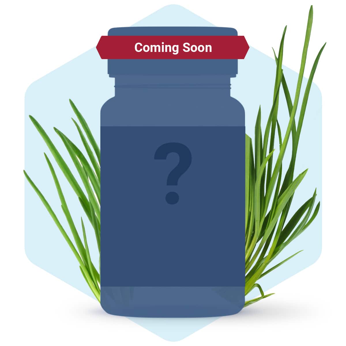 Coming Soon